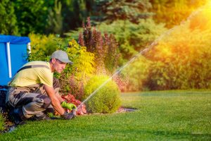 Unground Sprinkler, Grounds Maintenance